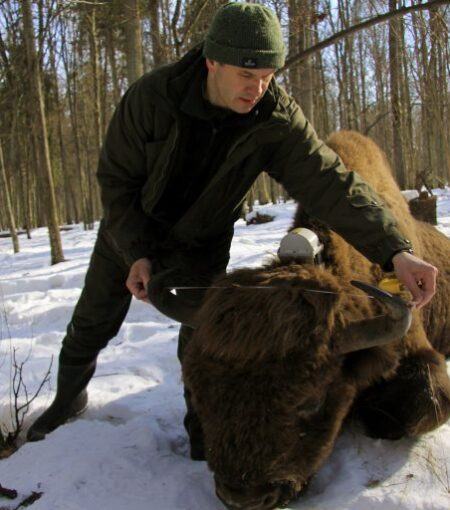 4212-ibs_pan_bialowieza_fot-Tomasz-Kaminski_1-1-768×512