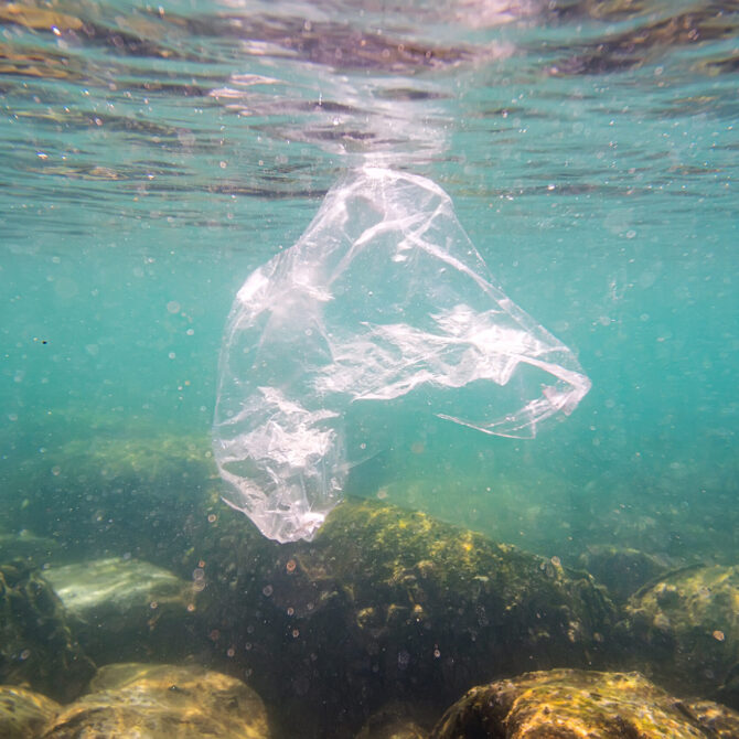 Mikroplastik w wodzie niszczy naturalnego wroga bakterii