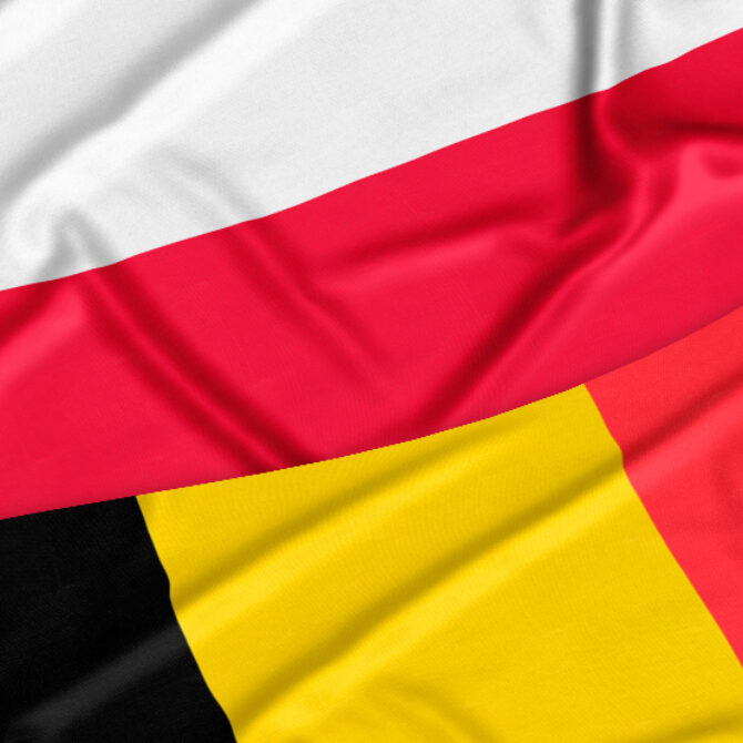 Polish-Belgian (PAN–F.R.S.-FNRS) cooperation for the years 2025–2026